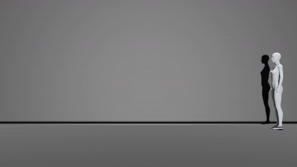 Animator